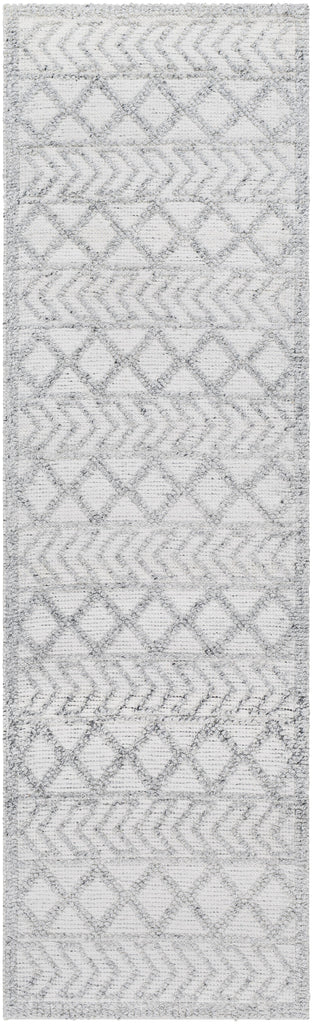 Surya Napoli NPO-2312 Charcoal Light Slate 2' x 3' Rug