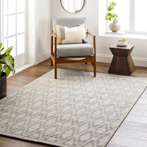 Surya Napoli NPO-2313 Gray Light Gray 2' x 3' Rug