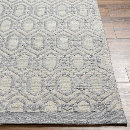 Surya Napoli NPO-2317 Beige Black 2' x 3' Rug