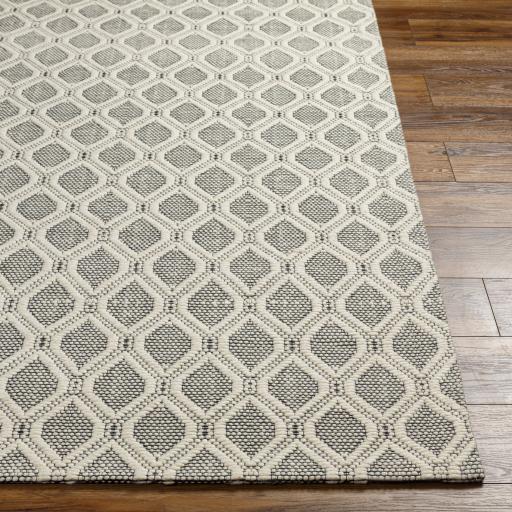 Surya Nevada NVD-2300 Black Cream 27" x 45" Rug