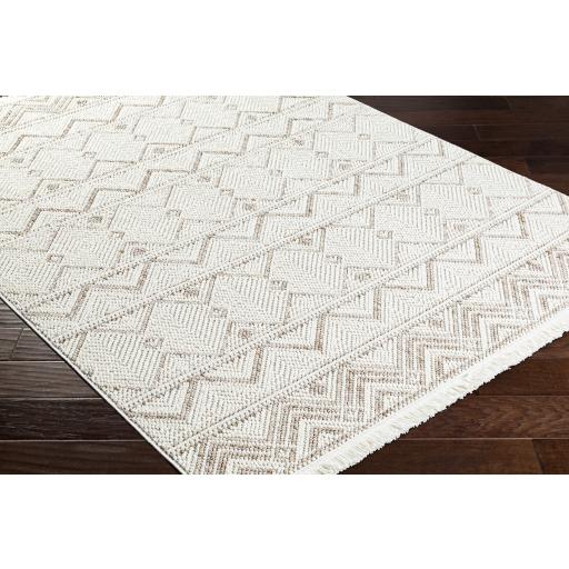 Surya New Delhi NWH-2305 Cream Light Beige 2' x 2'11" Rug