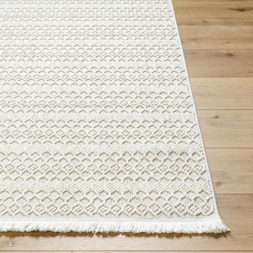 Surya New Delhi NWH-2308 Cream Light Gray 2' x 2'11" Rug