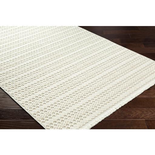 Surya New Delhi NWH-2308 Cream Light Gray 2' x 2'11" Rug