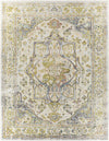 Surya New Mexico Nwm-2337 2' X 3' Rug