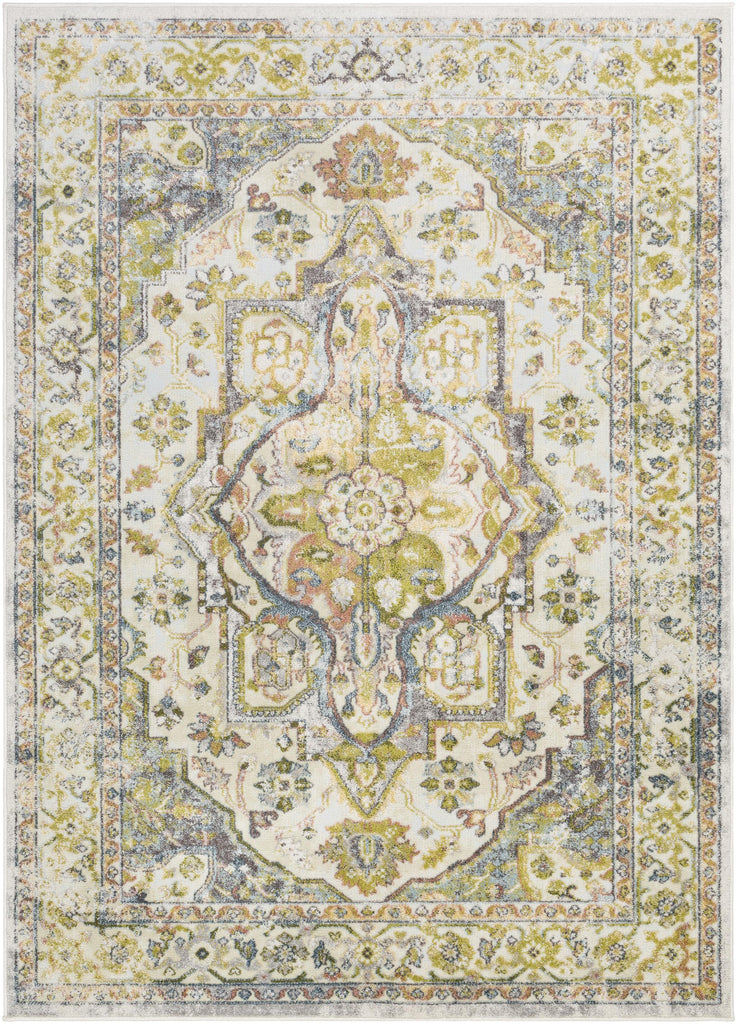 Surya New Mexico NWM-2337 2' x 3' Rug