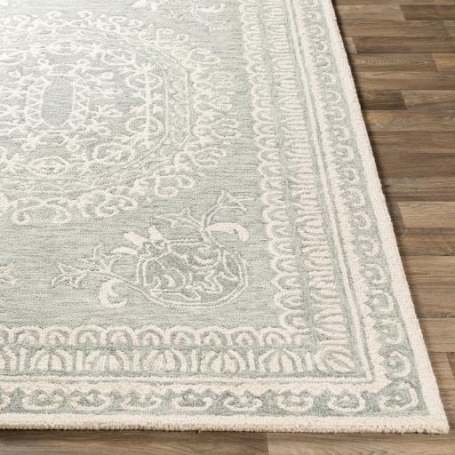 Surya Newcastle NCS-2306 Ivory Sage 4' x 6' Rug