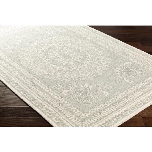 Surya Newcastle NCS-2306 Ivory Sage 4' x 6' Rug