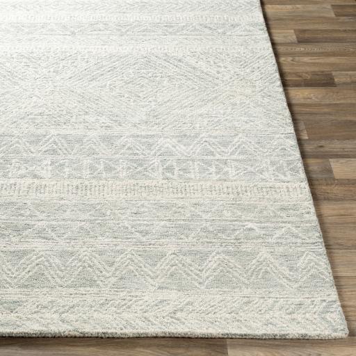 Surya Newcastle NCS-2312 Cream Sage 2' x 3' Rug