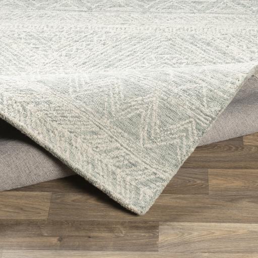 Surya Newcastle NCS-2312 Cream Sage 2' x 3' Rug