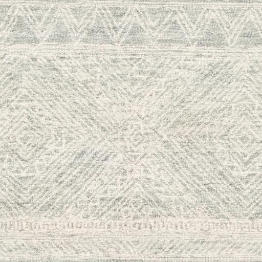 Surya Newcastle NCS-2312 Cream Sage 2' x 3' Rug