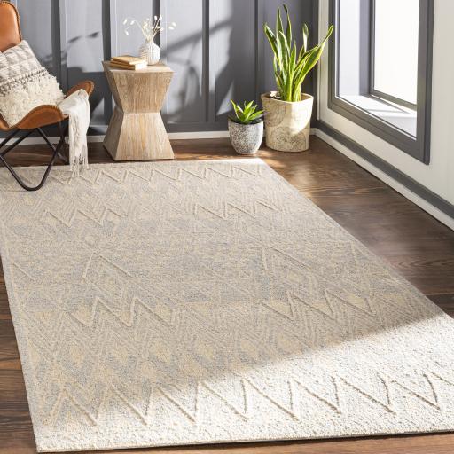 Surya Newcastle NCS-2317 Beige Gray 4' x 6' Rug