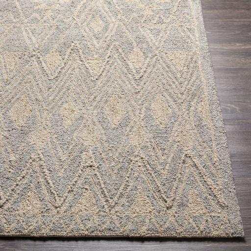 Surya Newcastle NCS-2317 Beige Gray 4' x 6' Rug