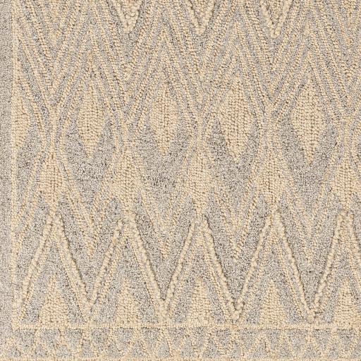 Surya Newcastle NCS-2317 Beige Gray 4' x 6' Rug