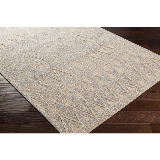 Surya Newcastle NCS-2317 Beige Gray 4' x 6' Rug