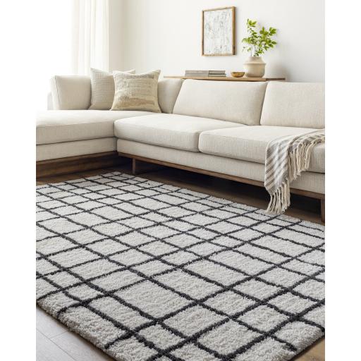 Surya Nicole NCO-2300 Black White 2' x 3' Rug