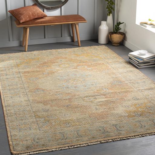 Surya Nirvana NVN-2301 Beige Charcoal 2' x 3' Rug