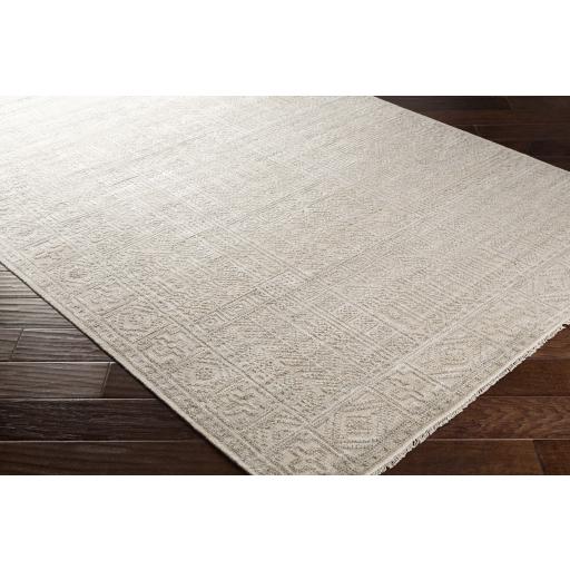 Surya Nobility NBI-2301 Beige Dark Brown 10' x 14' Rug