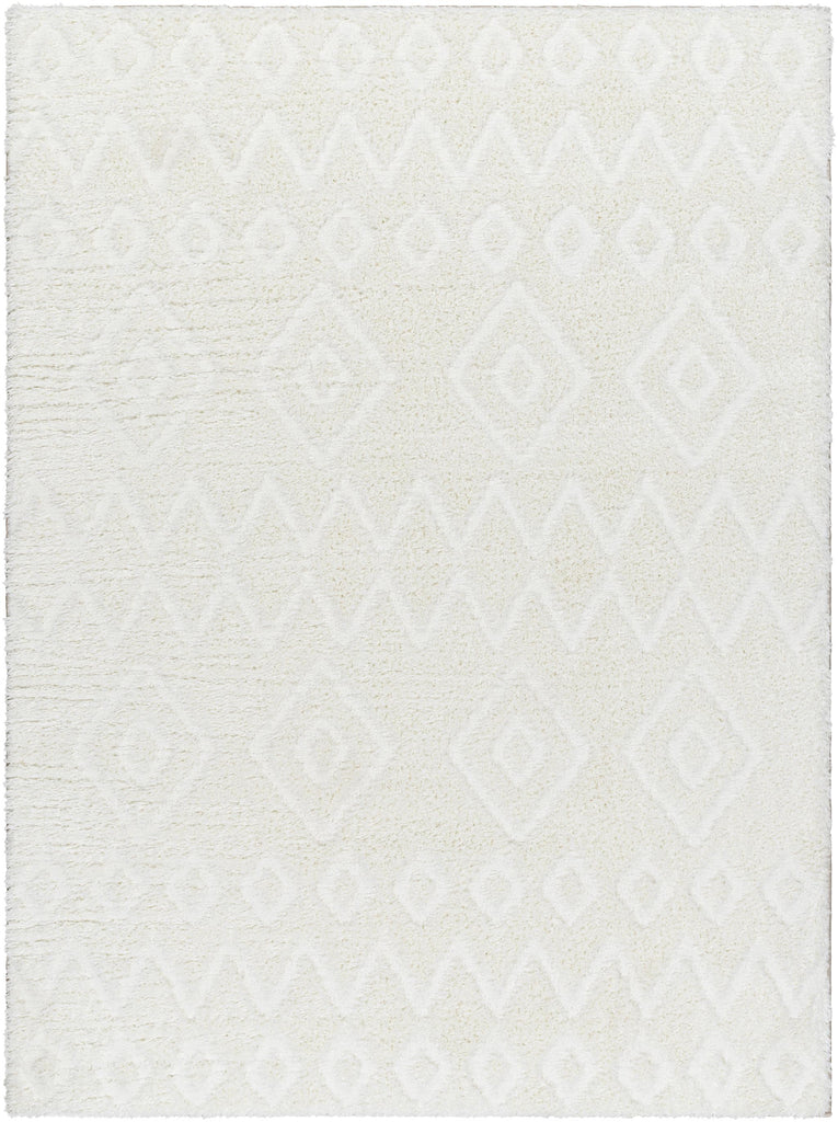 Surya Nomadic NMC-2306 5'3" x 7' Rug