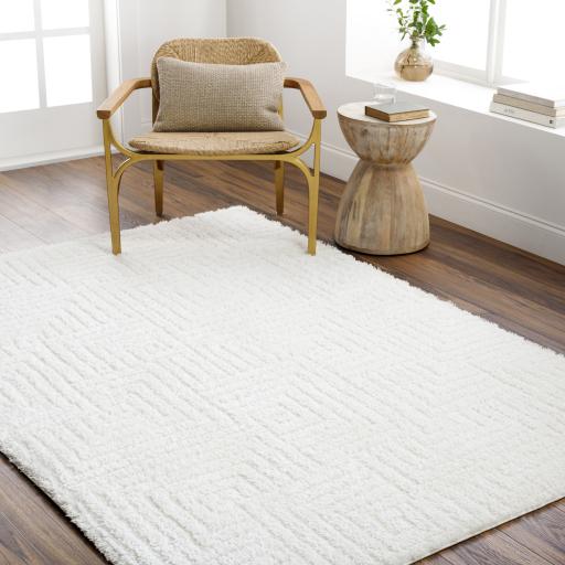 Surya Nomadic NMC-2314 Ivory 5'3" x 7' Rug