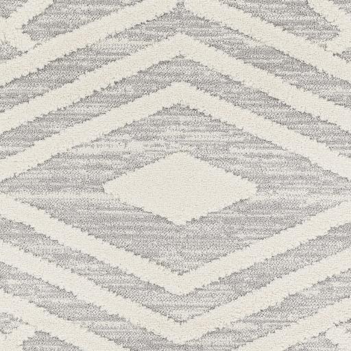 Surya Nora NOA-2302 Cream Light Gray 5'3" x 7' Rug