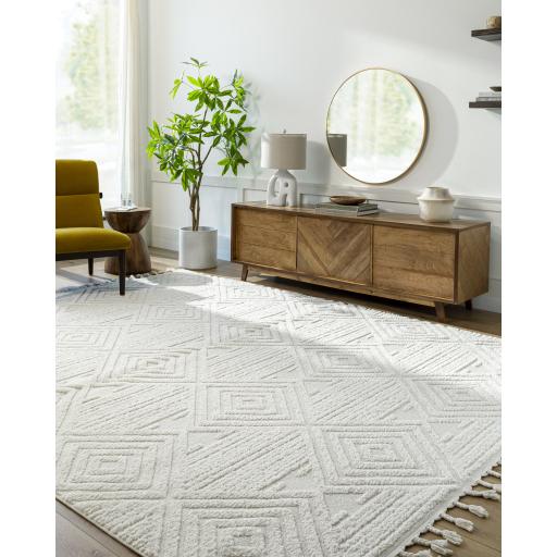 Surya Nora NOA-2307 Cream Light Gray 5'3" x 7' Rug