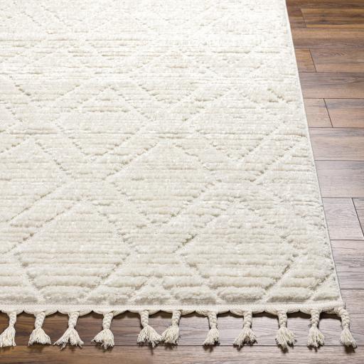 Surya Nora NOA-2308 Cream Light Gray 5'3" x 7' Rug