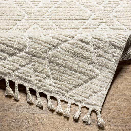 Surya Nora NOA-2308 Cream Light Gray 5'3" x 7' Rug