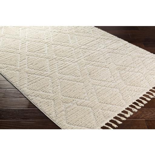 Surya Nora NOA-2308 Cream Light Gray 5'3" x 7' Rug