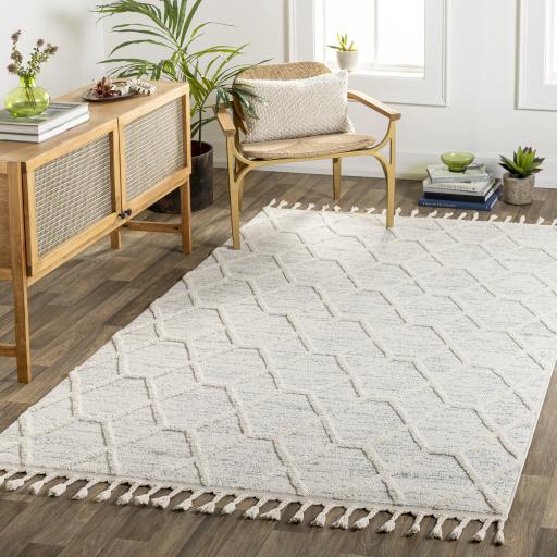 Surya Nora NOA-2311 Cream Light Gray 6'7" x 9' Rug