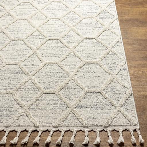 Surya Nora NOA-2311 Cream Light Gray 6'7" x 9' Rug