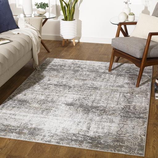 Surya Norland NLD-2315 Charcoal Cream 2' x 2'11" Rug