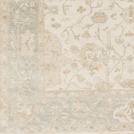 Surya Normandy NOY-8002 Cream Light Gray 2' x 3' Rug