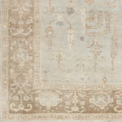 Surya Normandy NOY-8003 Cream Ice Blue 4' x 6' Rug