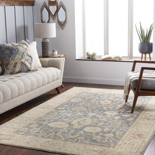 Surya Normandy NOY-8007 Beige Charcoal 2' x 3' Rug