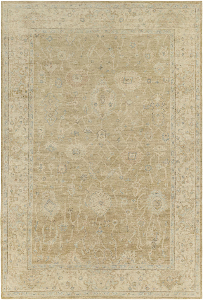 Surya Normandy NOY-8008 Beige Dark Brown 4' x 6' Rug