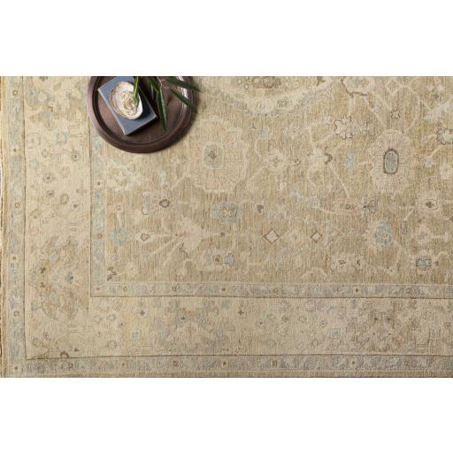 Surya Normandy NOY-8008 Beige Dark Brown 4' x 6' Rug