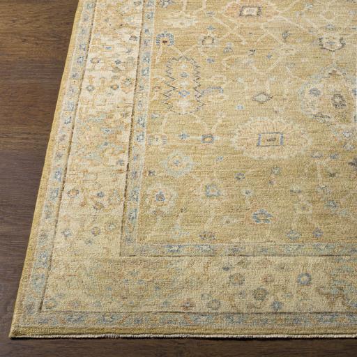 Surya Normandy NOY-8008 Beige Dark Brown 4' x 6' Rug