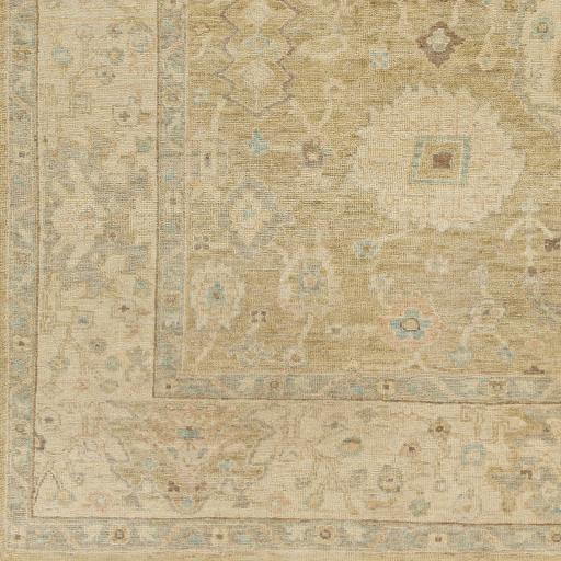 Surya Normandy NOY-8008 Beige Dark Brown 4' x 6' Rug