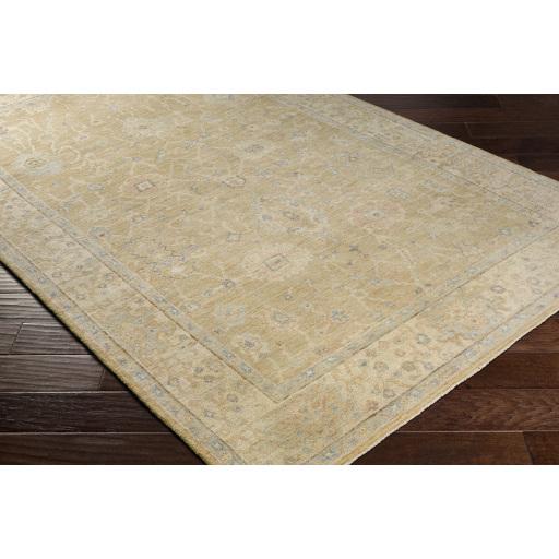 Surya Normandy NOY-8008 Beige Dark Brown 4' x 6' Rug