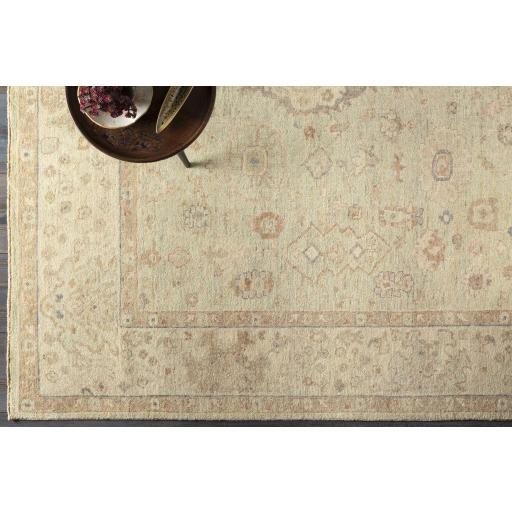 Surya Normandy NOY-8009 Beige Dusty Pink 2' x 3' Rug