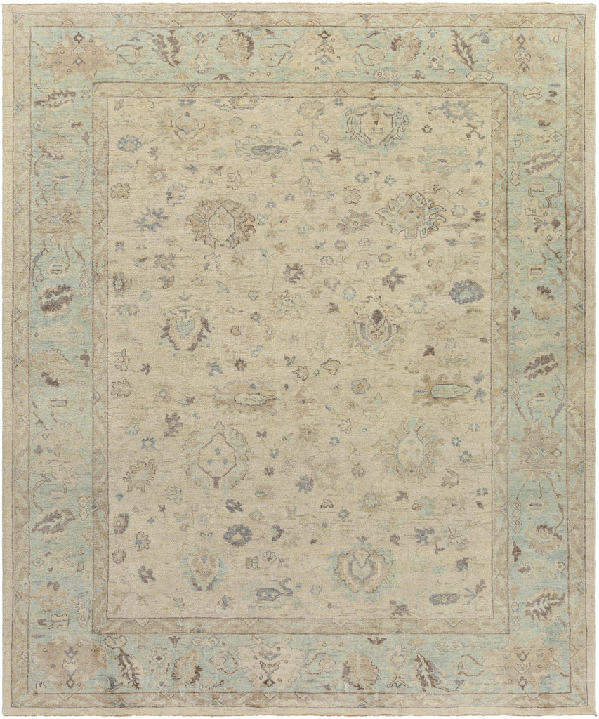 Surya Normandy NOY-8010 Beige Dark Brown 4' x 6' Rug