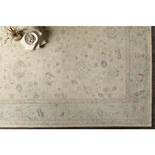 Surya Normandy NOY-8010 Beige Dark Brown 4' x 6' Rug