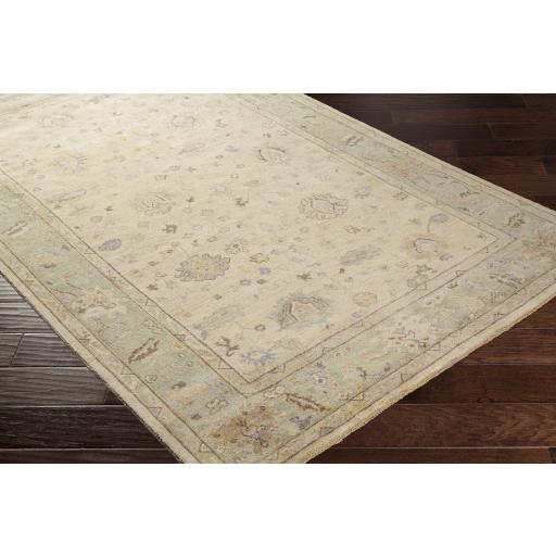 Surya Normandy NOY-8010 Beige Dark Brown 4' x 6' Rug