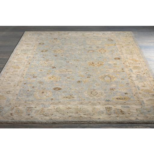 Surya Normandy NOY-8011 Beige Blue 2' x 3' Rug