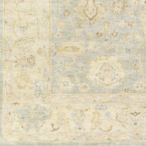 Surya Normandy NOY-8011 Beige Blue 2' x 3' Rug