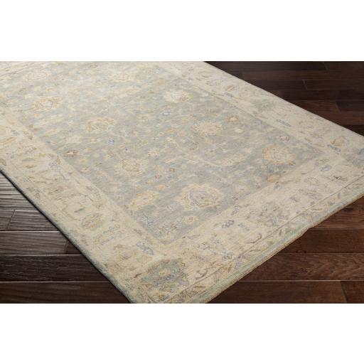 Surya Normandy NOY-8011 Beige Blue 2' x 3' Rug