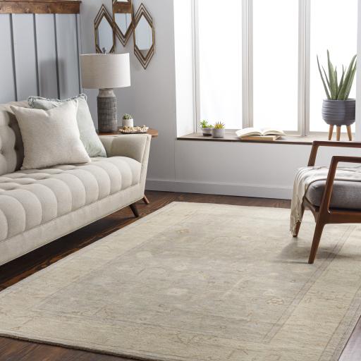 Surya Normandy NOY-8012 Beige Brown 2' x 3' Rug