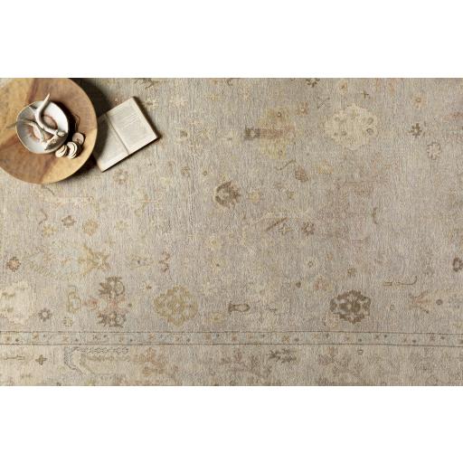 Surya Normandy NOY-8012 Beige Brown 2' x 3' Rug