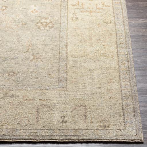 Surya Normandy NOY-8012 Beige Brown 2' x 3' Rug