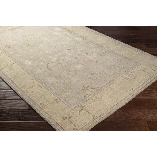 Surya Normandy NOY-8012 Beige Brown 2' x 3' Rug